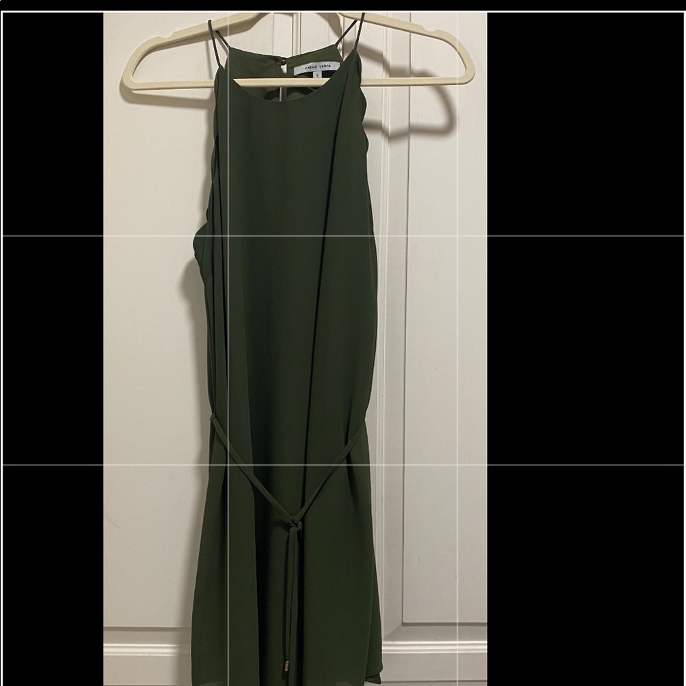 Naked Zebra Green Dress